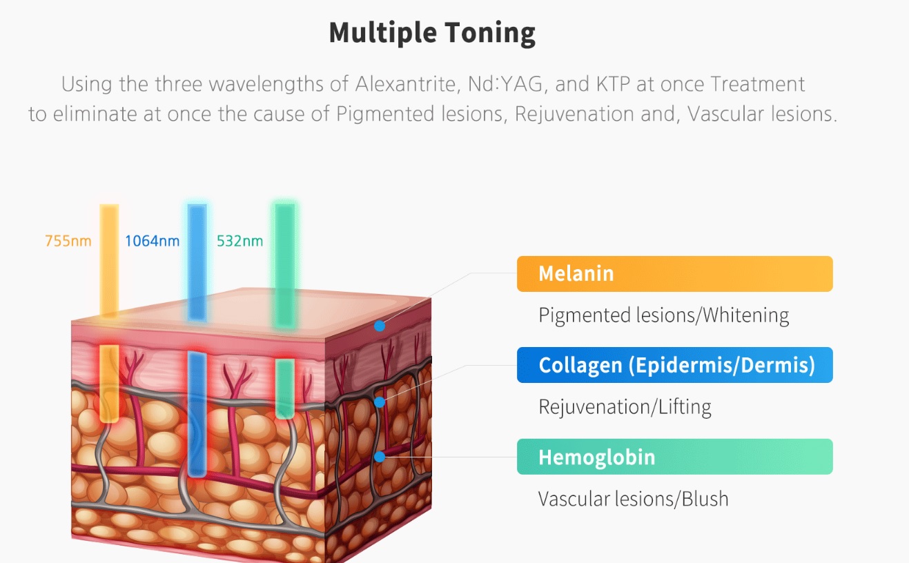 action dermique